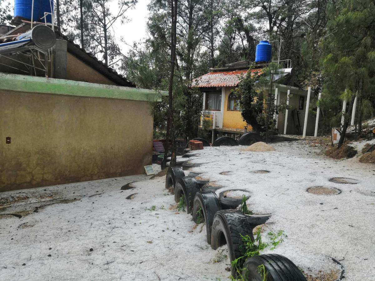 Renta De Cabanas, Centro Ecoturistico Rural Sustentable Labor San Jose San Cristóbal de Las Casas Εξωτερικό φωτογραφία